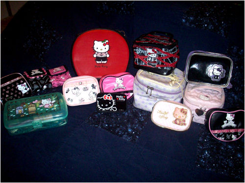 small cases / makeup bags